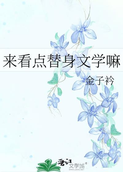 来看点替身文学嘛封面