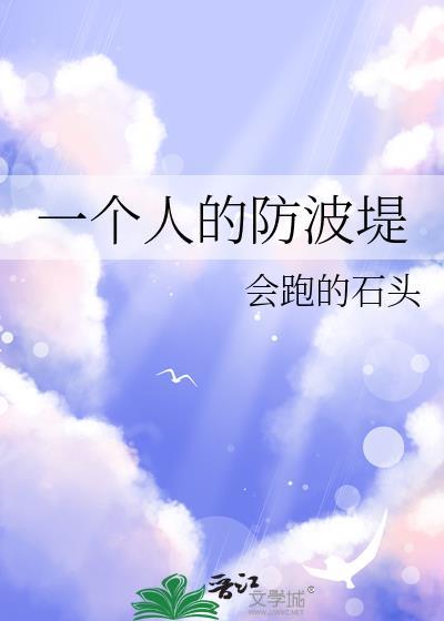 一个人的防波堤封面