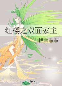 红楼之双面家主封面