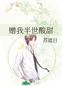 赠我半世酸甜封面