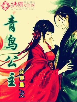 青鸟公主封面