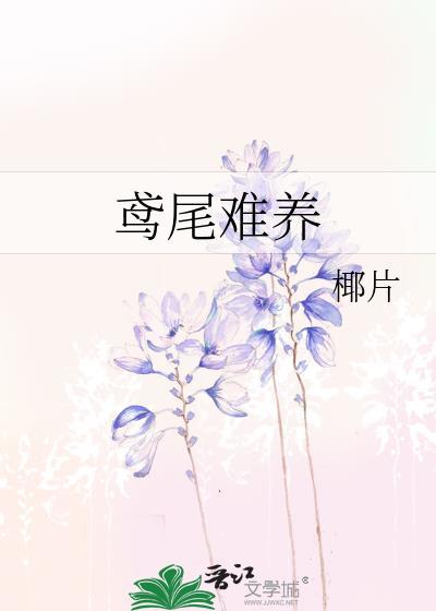 鸢尾难养封面