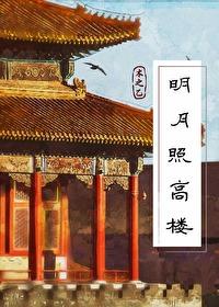 明月照高楼封面