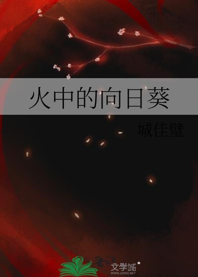 火中的向日葵封面