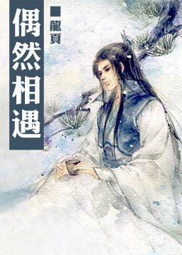 偶然相遇封面