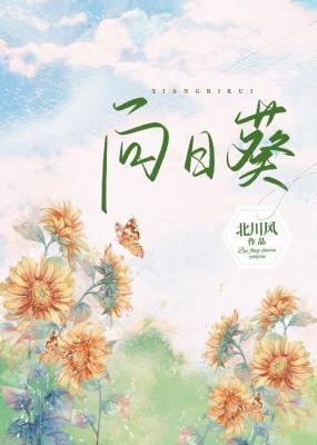 向日葵封面