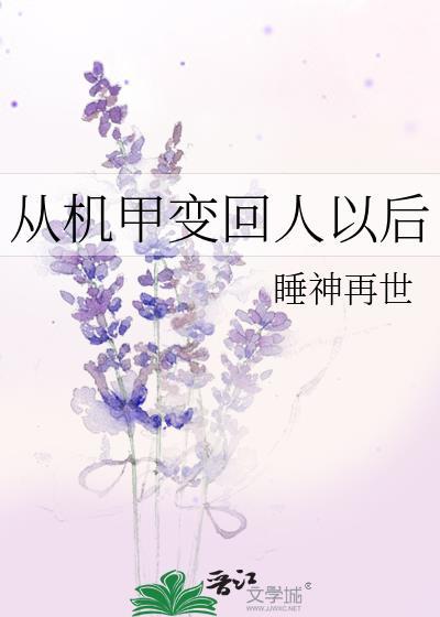 从机甲变回人以后封面