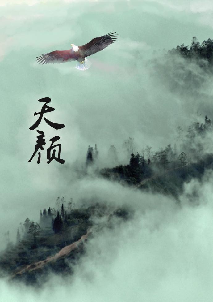天颜封面