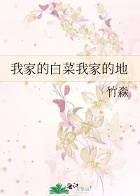 我家的白菜我家的地封面