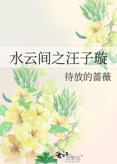 水云间之汪子璇封面