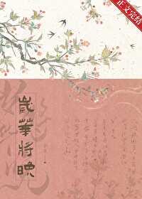 岁华将晚封面