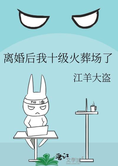 离婚后我十级火葬场了封面