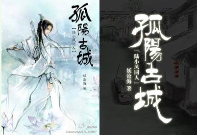 孤阳古城封面
