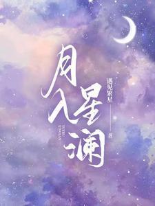 月入星澜封面