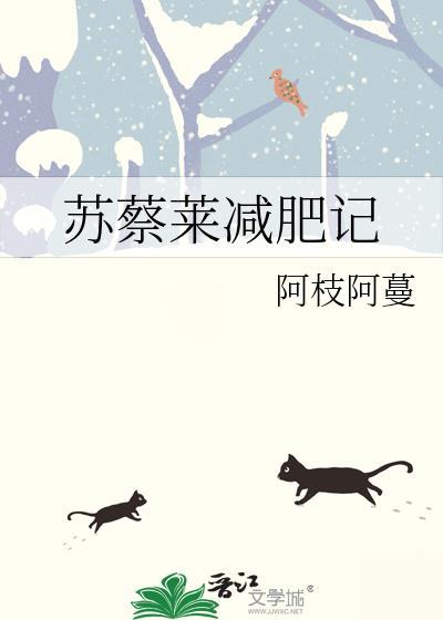 苏蔡莱减肥记封面
