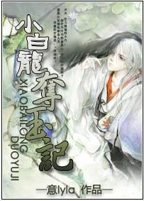 小白龙夺玉记封面