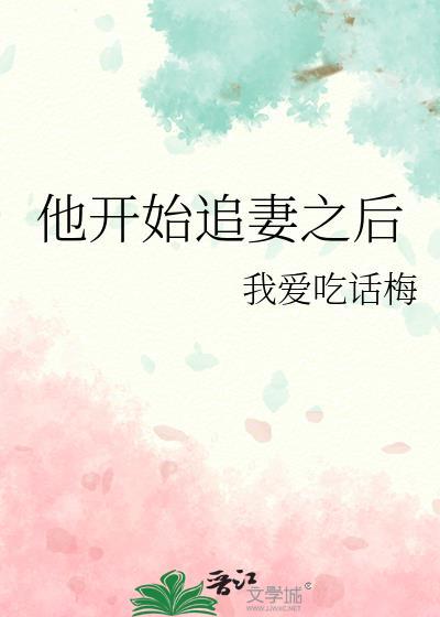 他开始追妻之后封面