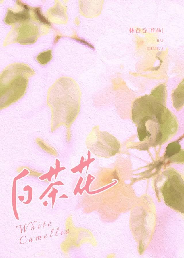 白茶花封面