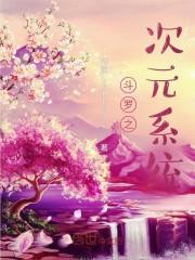 斗罗之次元系统封面