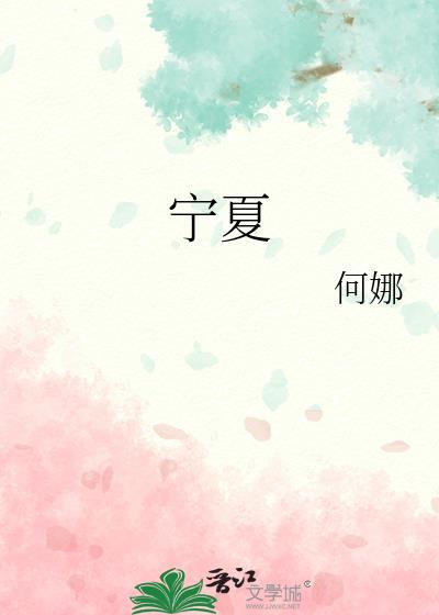 宁夏封面