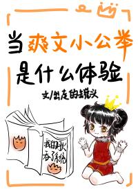 当爽文小公举是什么体验封面