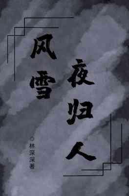 风雪夜归人封面