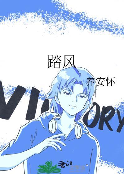 踏风封面