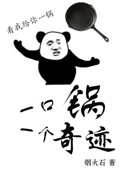 一口锅一个奇迹[机甲]封面
