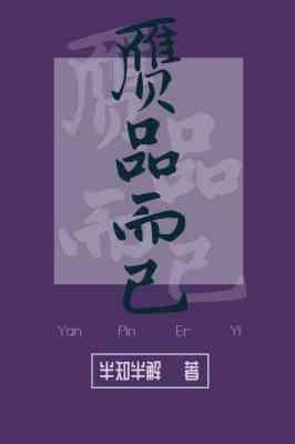赝品而已封面