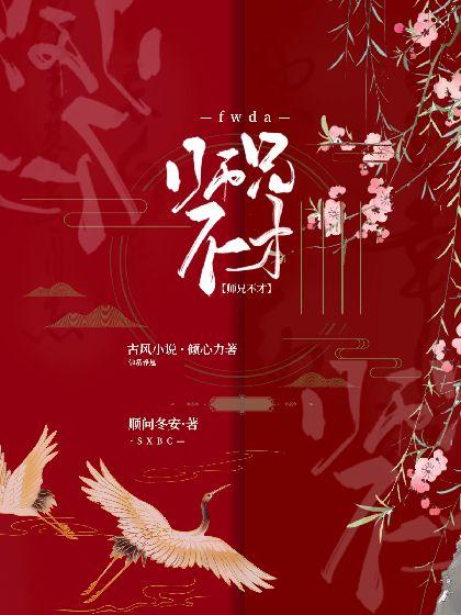 师兄不才封面