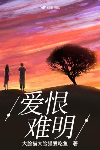 爱恨难明封面