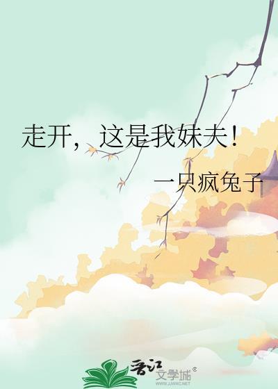 走开，这是我妹夫！封面