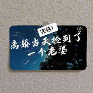 离婚当天捡到了一个老婆封面