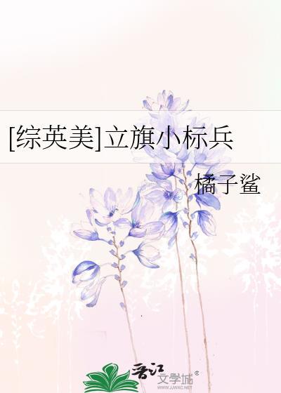 [综英美]立旗小标兵封面