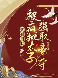 赐婚当晚，被疯批太子强取豪夺封面