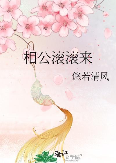 相公滚滚来封面