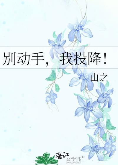 别动手，我投降！封面
