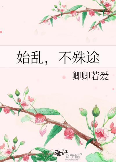 始乱，不殊途封面