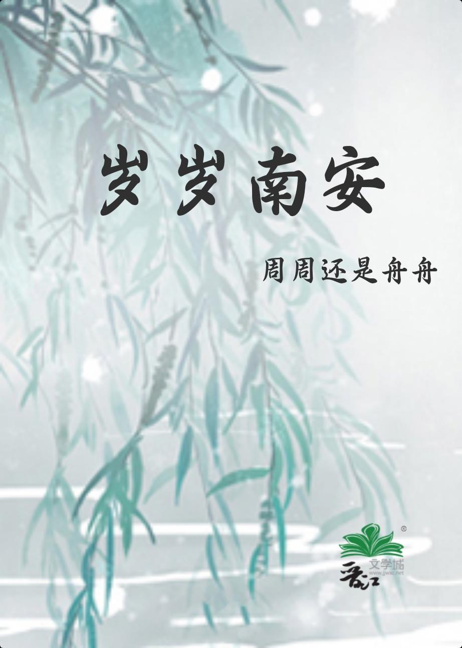 岁岁南安封面