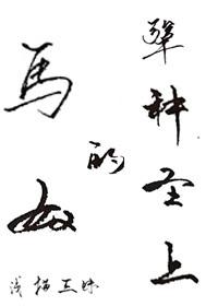 马奴的犟种圣上封面