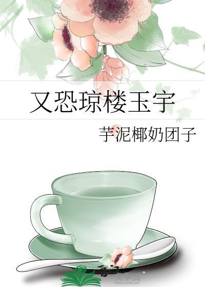 又恐琼楼玉宇封面