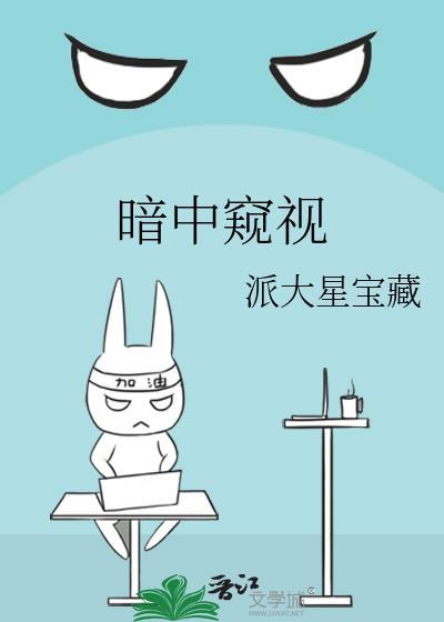 暗中窥视封面
