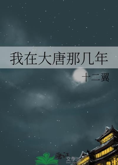 我在大唐那几年封面