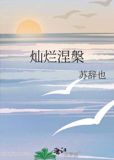 灿烂涅槃封面