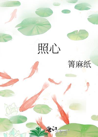 照心封面