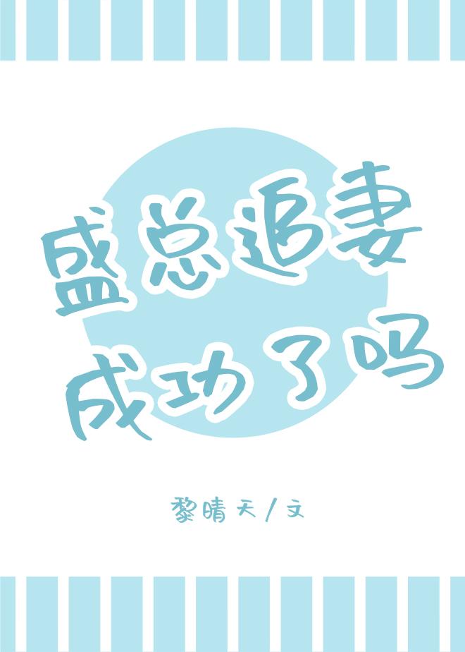 盛总追妻成功了吗封面