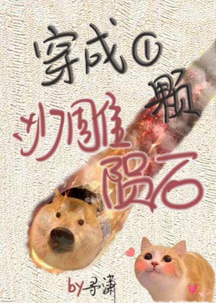 穿成一颗沙雕陨石封面