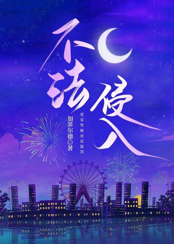 不法侵入封面