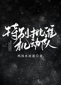 特别批准机动队封面
