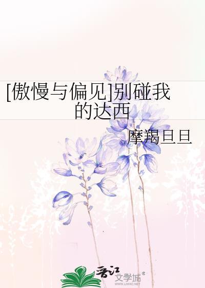 [傲慢与偏见]别碰我的达西封面